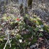 20190424_132847-864x864.jpg