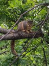 IMG_4285.JPG