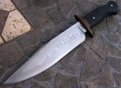 Lameymicarta2.jpg