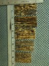 Mammoth Ivory Scales 2-1.jpg