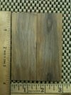 Mammoth Ivory Scales 4-2.jpg