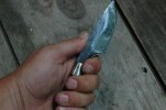 DSC_9126.jpg