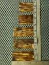 Mammoth Ivory Scales 1.jpg