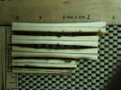 Mammoth Ivory Scales 4.jpg