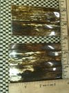 Mammoth Ivory Scales 3-1.jpg