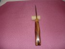 DSC00502.jpg