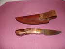 DSC00504.jpg