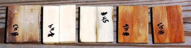 Group 9 (2).jpg