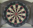 BuckDarts.Bristle.Board.0913.JPG