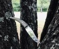 IMG_1744.jpeg
