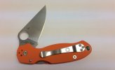 Para3-orange-2.jpg Para3-orange-2.jpg