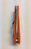 Para3-orange-3.jpg Para3-orange-3.jpg