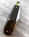 CSC_Ironwood_02.JPG