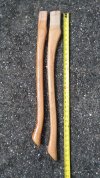 20190504_100824.jpg