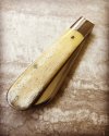 CSC_natural_bone_02.JPG