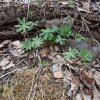 20190507_171040-563x563.jpg