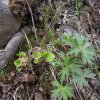 20190507_171057-563x563.jpg