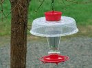 DSCF5174 HUMMER FEEDER LARGE IN RAIN 650 MED.jpg