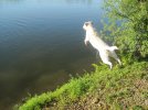IMG_0619.jpg