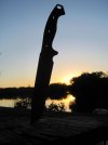 IMG_0635.jpg
