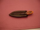 DSC00508.jpg