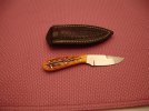 DSC00510.jpg