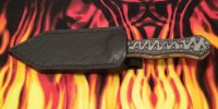 gladiussheath1.jpg