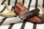translucent buffalo horn shots 011.jpg