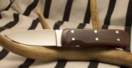 translucent buffalo horn shots 003.jpg