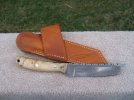 buckeyetanto3.jpg