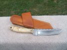buckeyetanto1.jpg