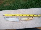 buckeyetanto9.jpg