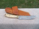 buckeyetanto2.jpg