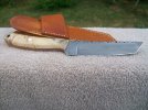 buckeyetanto4.jpg