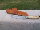 buckeyetanto5.jpg