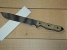 busse 005 small.JPG