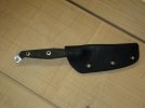 busse 001 small.JPG
