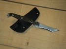busse 002 small.JPG