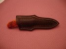 DSC00524.jpg