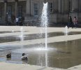 IMG_8838S.JPG