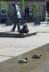 IMG_8844S.JPG