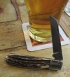 AW Stag Damascus LF 6-9.JPG