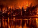 forest-fire-991479_1280.jpg