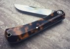 GEC_71_tortoiseshell_01.JPG