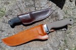 2 sheaths.JPG 2 sheaths.JPG
