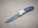blue mammoth front flipper 025.JPG blue mammoth front flipper 025.JPG