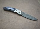 blue mammoth front flipper 027.JPG blue mammoth front flipper 027.JPG