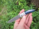 blue mammoth front flipper 032.JPG blue mammoth front flipper 032.JPG