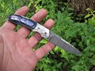 blue mammoth front flipper 034.JPG blue mammoth front flipper 034.JPG