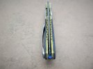 blue mammoth front flipper 002.JPG blue mammoth front flipper 002.JPG